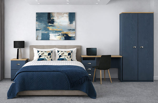 HMO CLASSIC PREMIUM HOMESTUDY ALBY BLUE